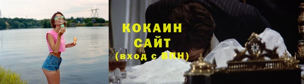 прущие грибы Верхнеуральск