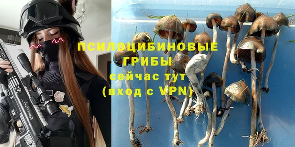 прущие грибы Верхнеуральск