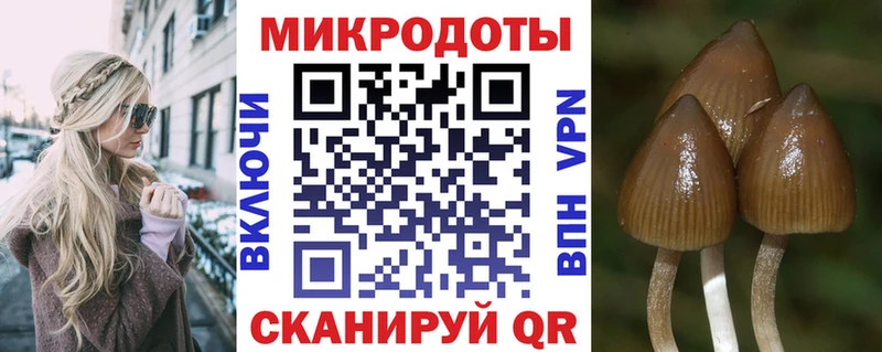 Псилоцибиновые грибы мухоморы  где купить   Гремячинск 